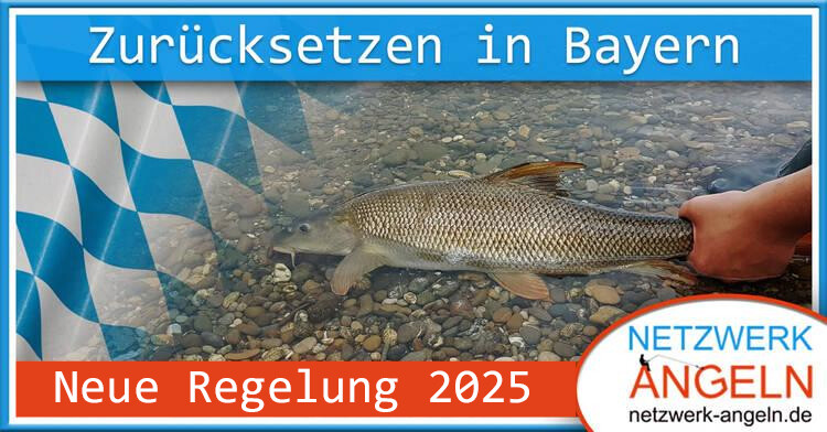 Catch and Release Bayern