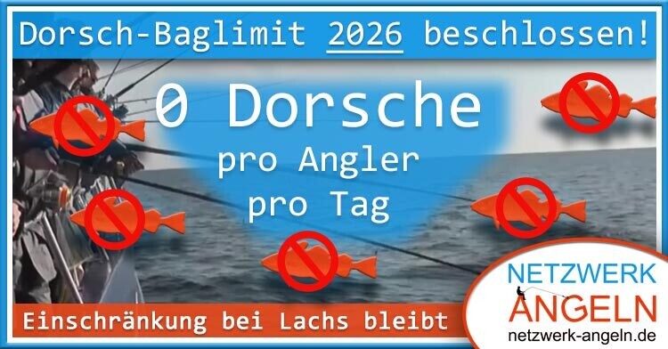 Ostsee Dorsch 2026: Baglimit und Fangquoten beschlossen!